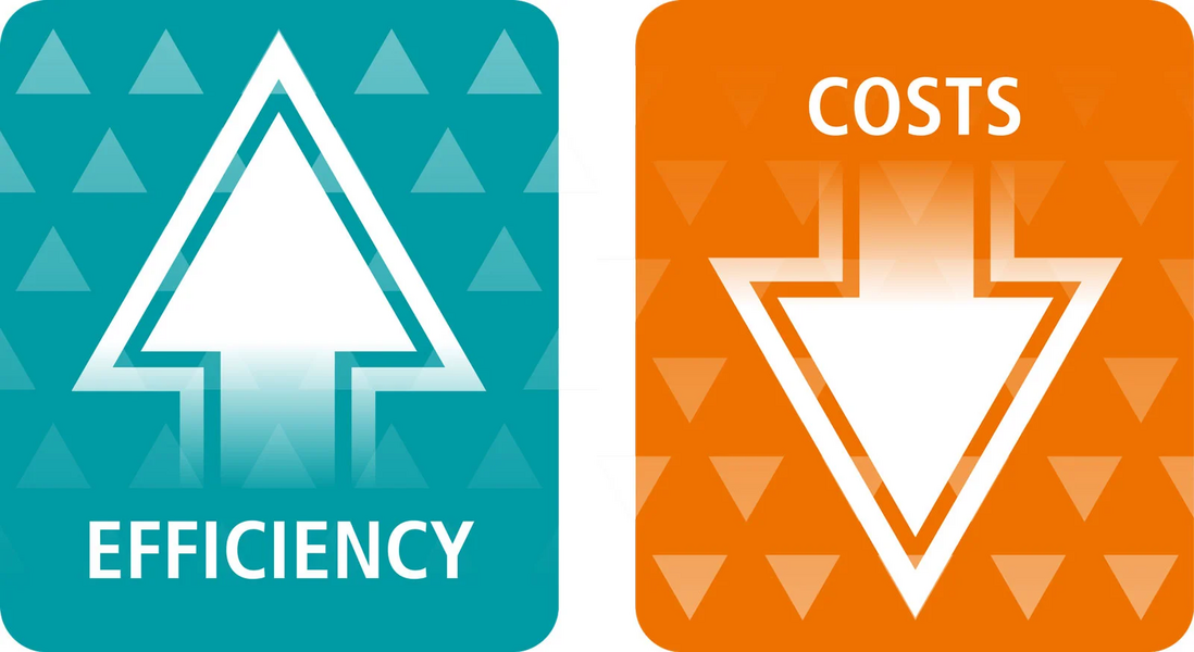 Cost Optimization Through CodeMeter for Licensing - Wibu-Systems