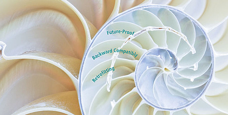 Nautilus- (c)mvp64/iStockfoto
