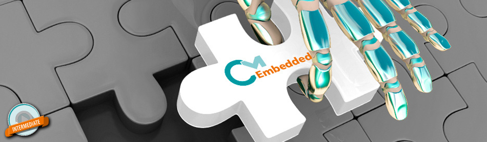 Dominating Industrie 4.0 with Secure Software Licensing Dominating Industrie 4.0 with Secure Software Licensing
